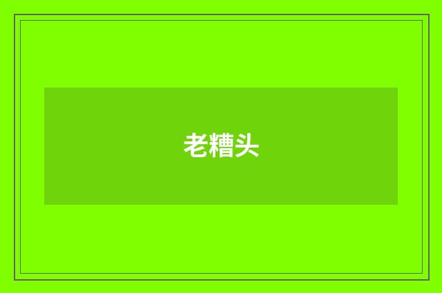 老糟头