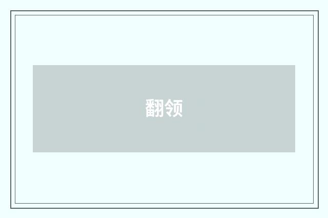 翻领