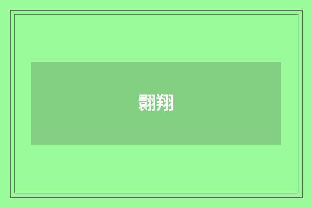 翾翔