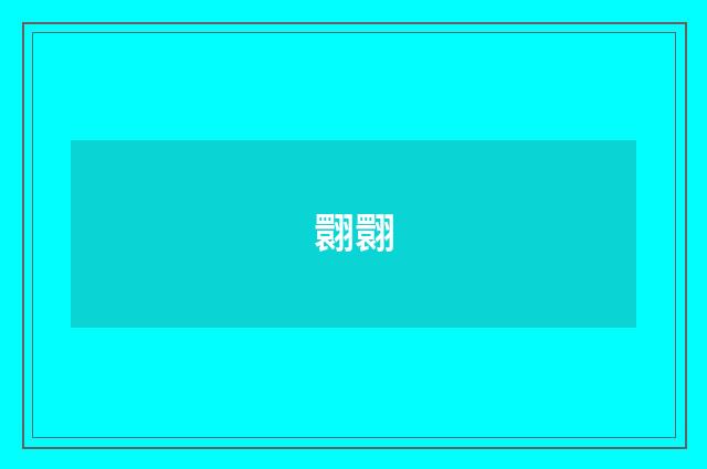 翾翾