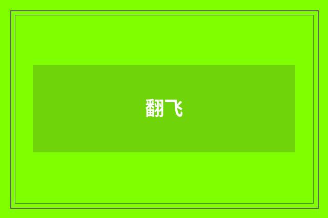 翻飞