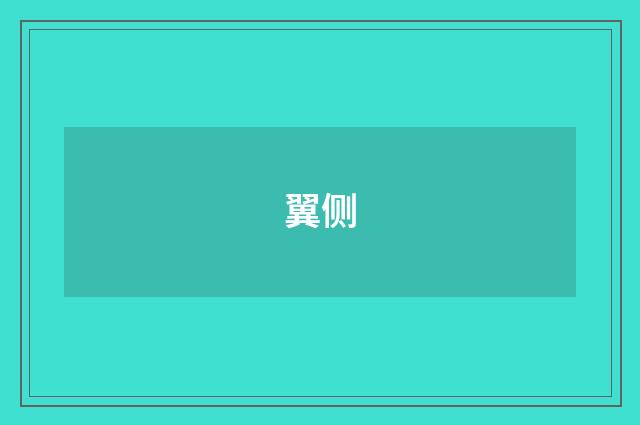 翼侧