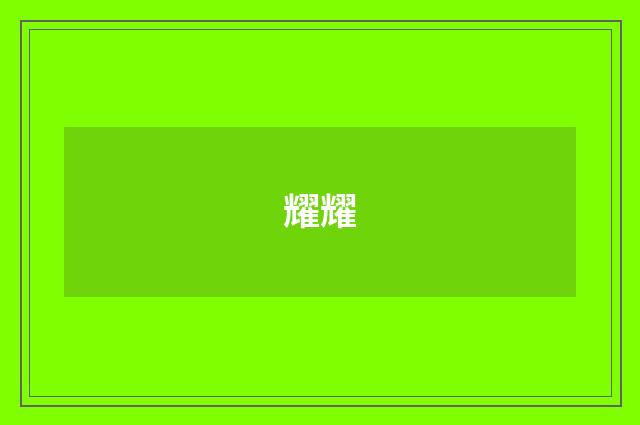 耀耀