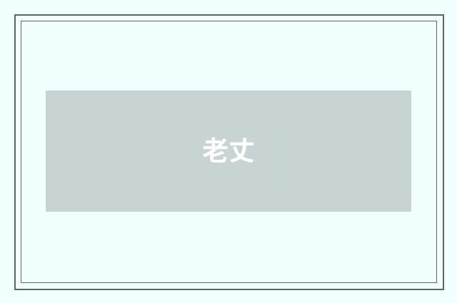 老丈