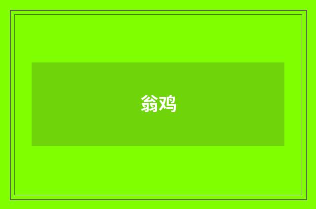 翁鸡
