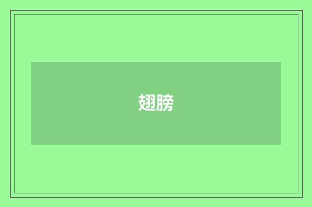 翅膀