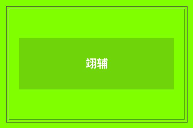 翊辅