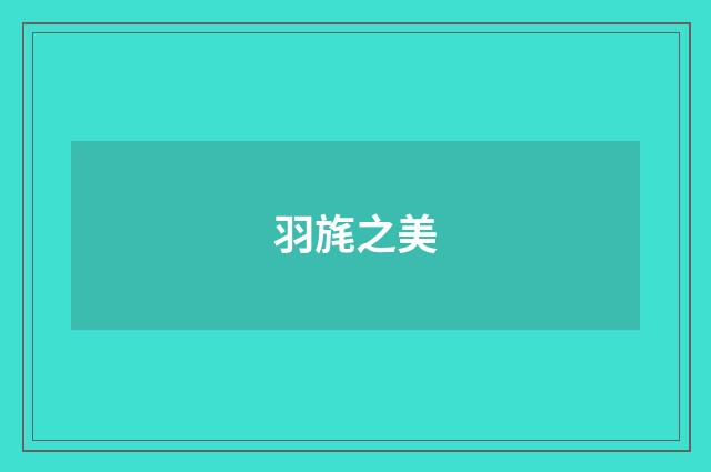 羽旄之美