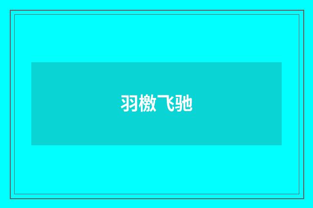 羽檄飞驰