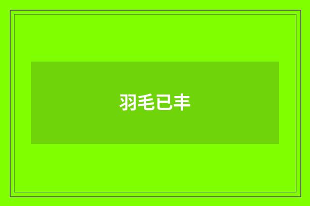 羽毛已丰