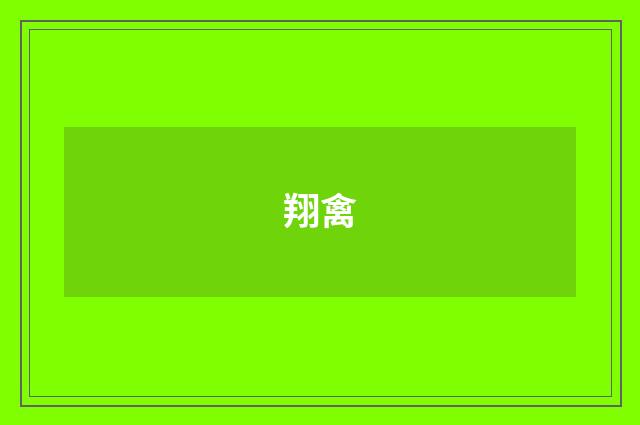 翔禽