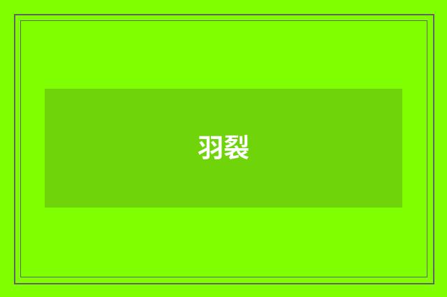 羽裂