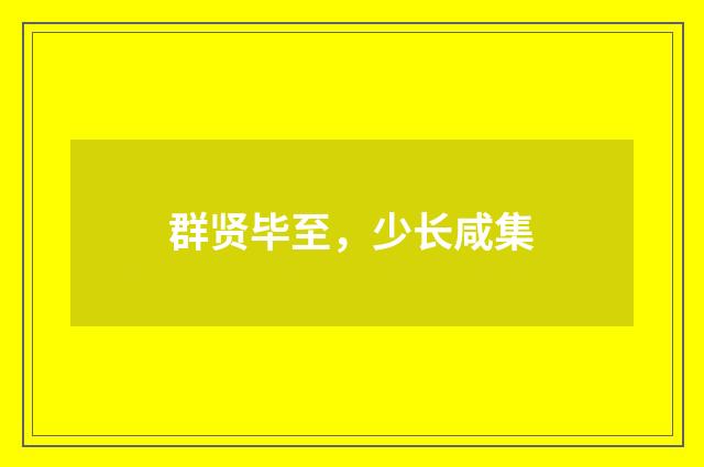 群贤毕至，少长咸集