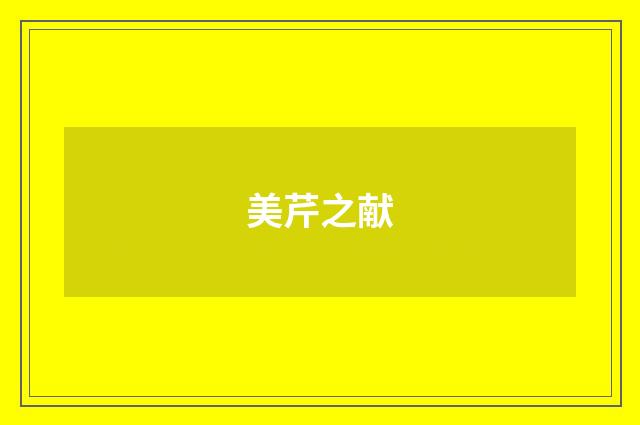 美芹之献