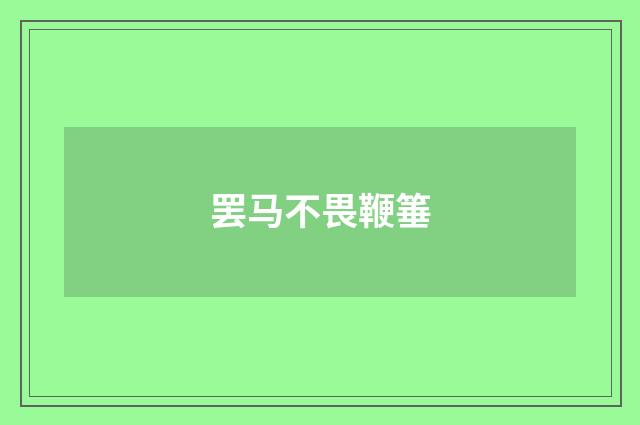 罢马不畏鞭箠