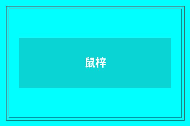 鼠梓