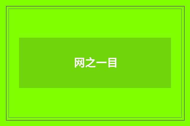 网之一目