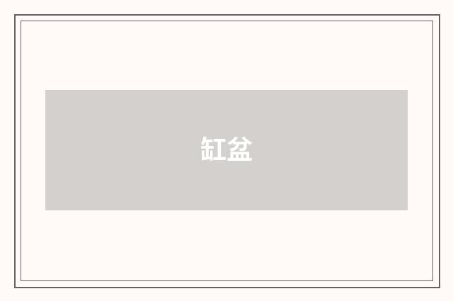 缸盆