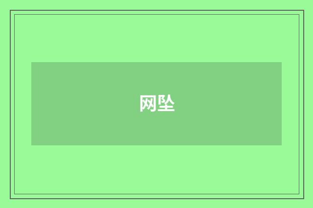 网坠