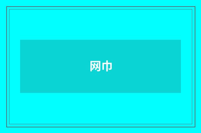 网巾