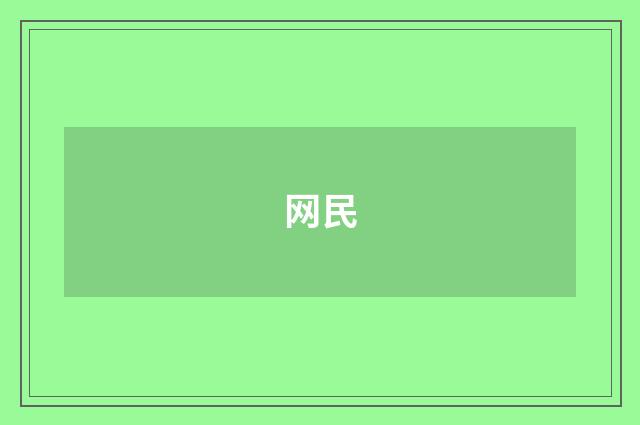 网民