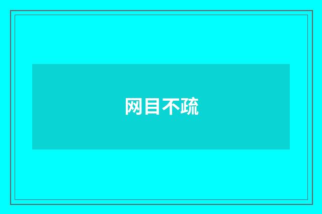 网目不疏