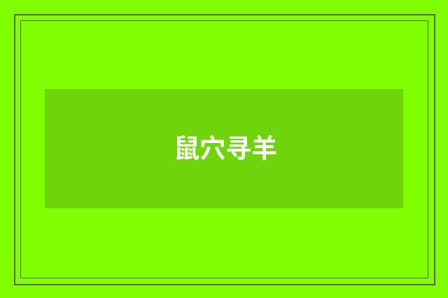 鼠穴寻羊