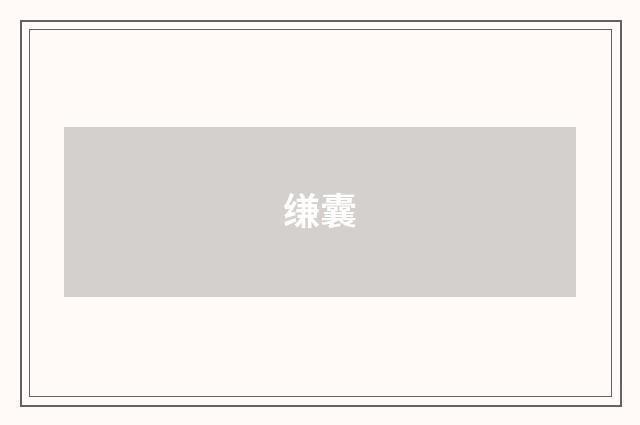 缣囊