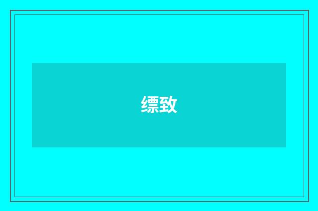 缥致