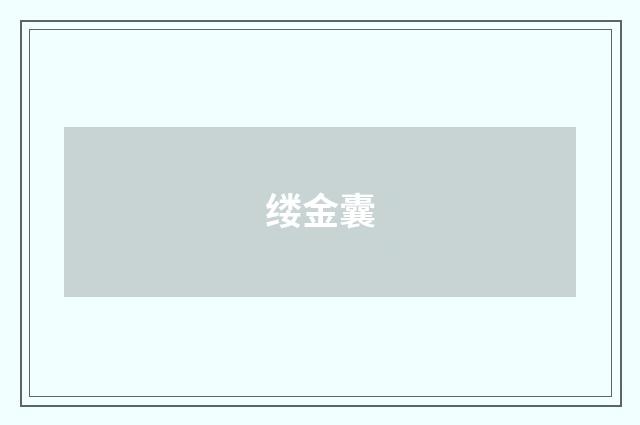 缕金囊