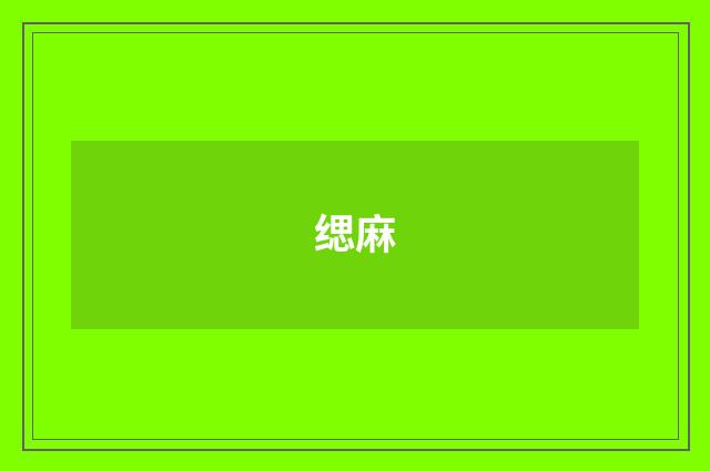 缌麻
