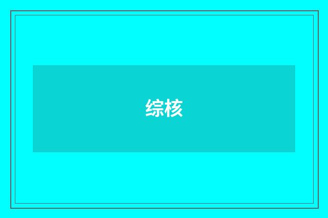 综核