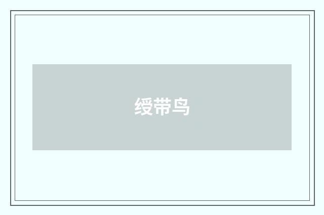 绶带鸟