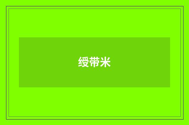 绶带米