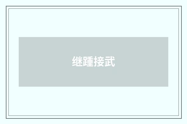 继踵接武