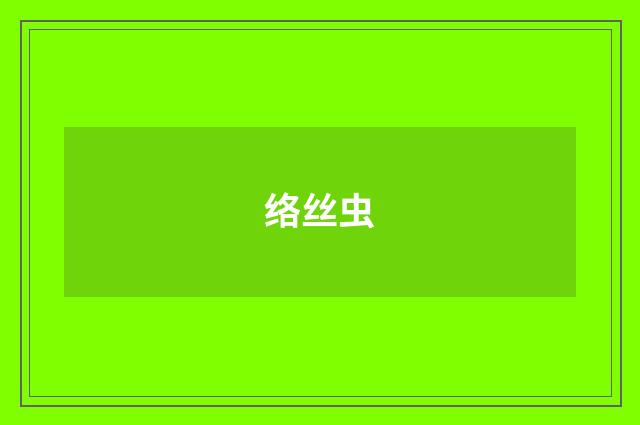 络丝虫