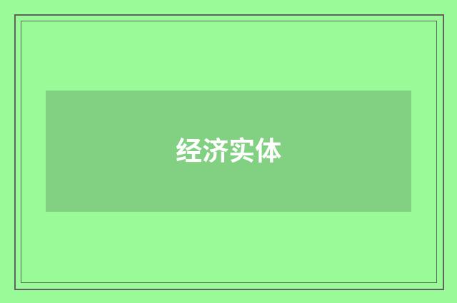 经济实体