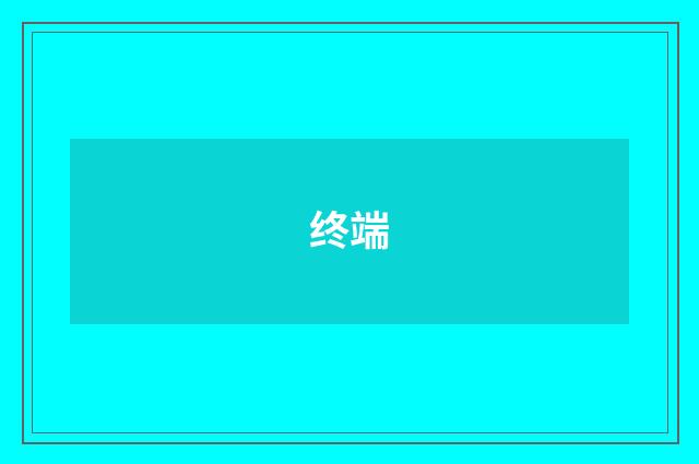 终端