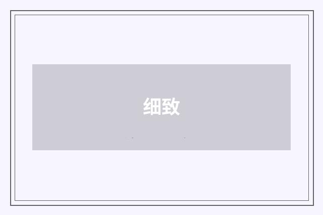细致