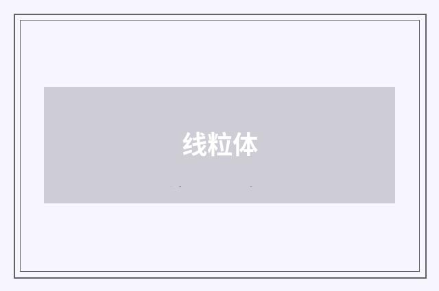 线粒体