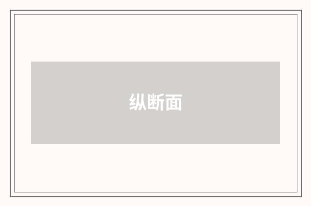 纵断面