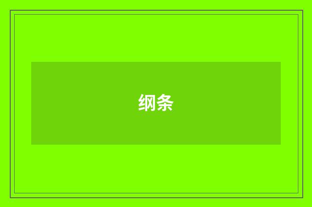 纲条