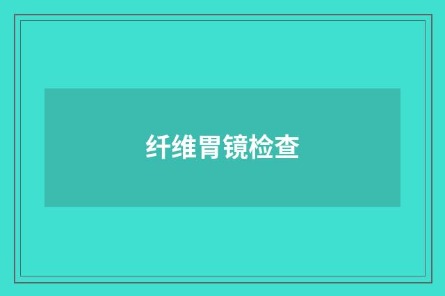 纤维胃镜检查