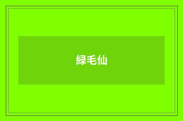 緑毛仙