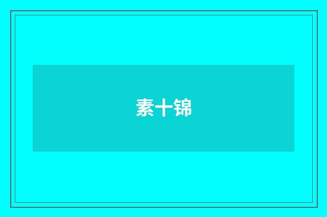 素十锦