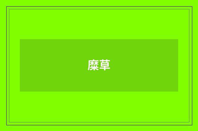 糜草