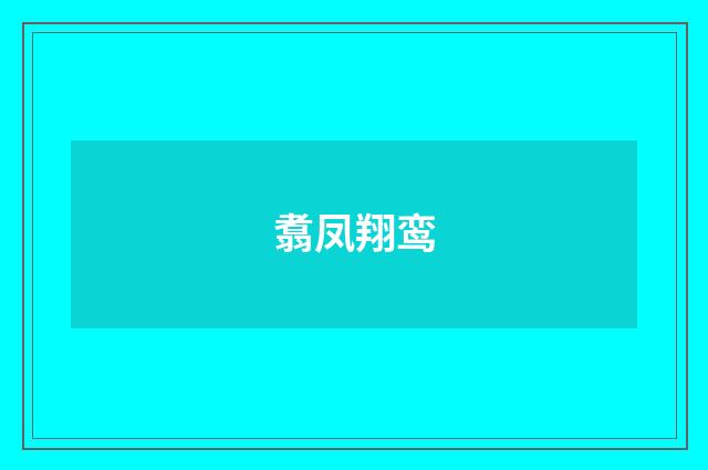 翥凤翔鸾