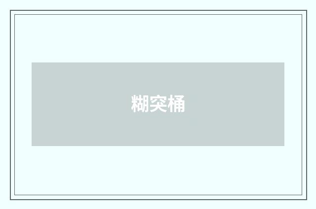 糊突桶