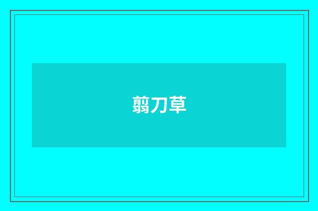 翦刀草