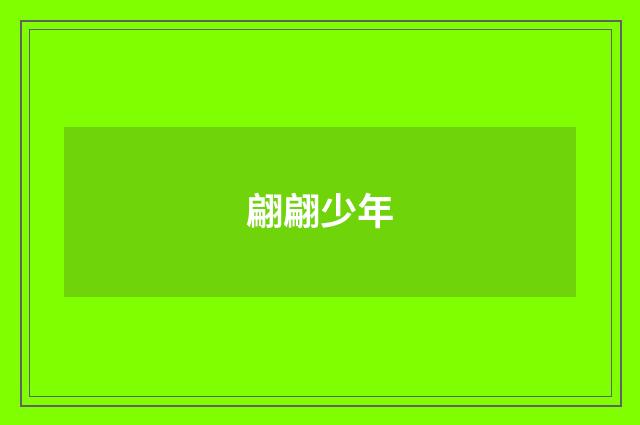 翩翩少年